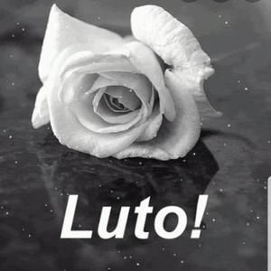 Meet your Posher, Benicio